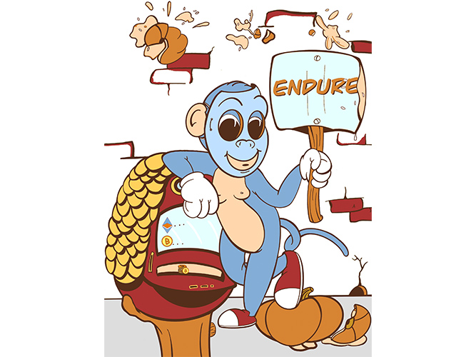 Endure Monkey Image